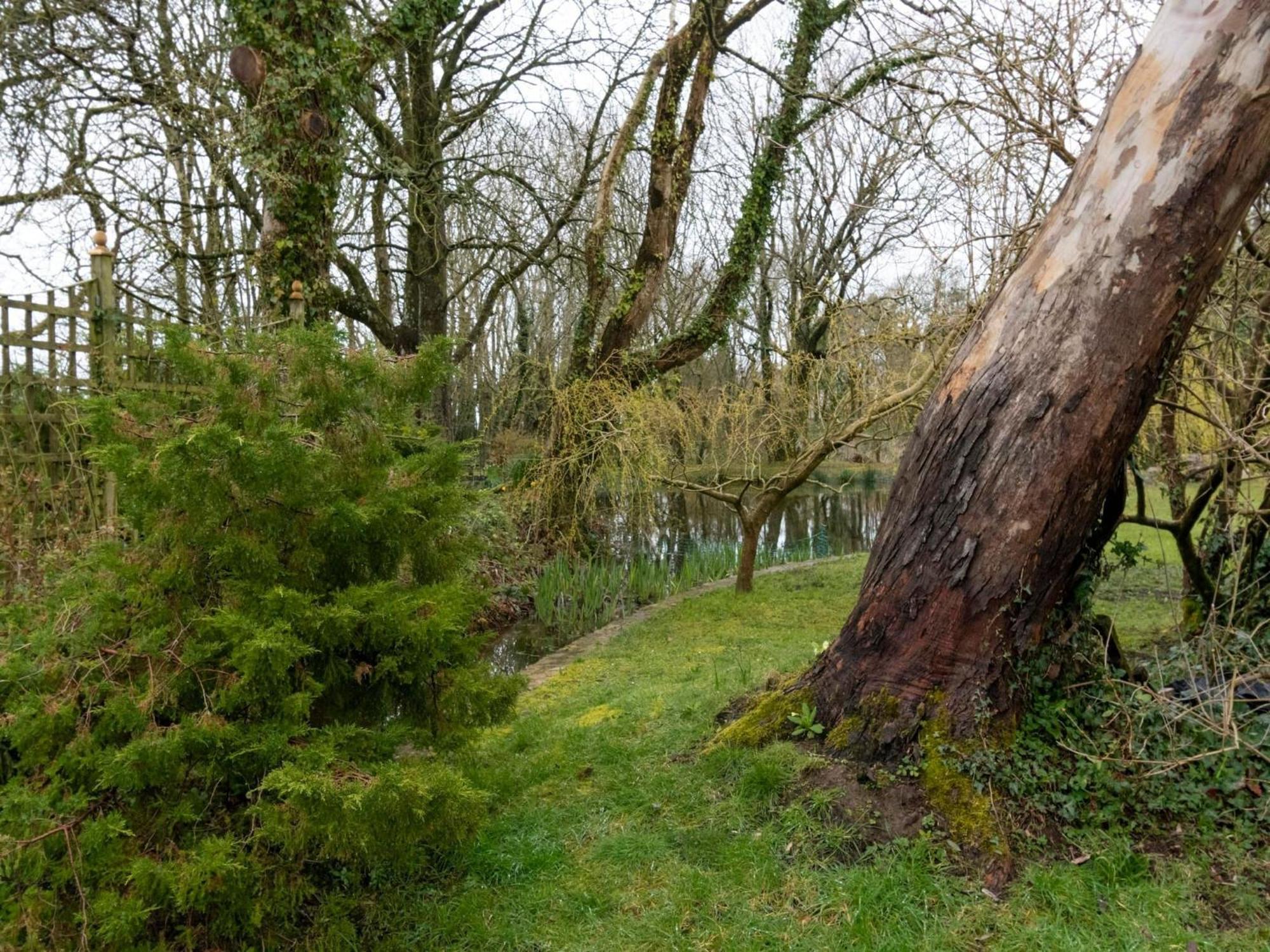 Secluded Holiday Home In Ceredigion With Garden Pennant  エクステリア 写真